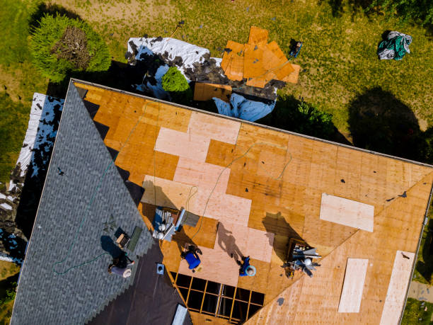 Best Flat Roof Repair Services  in Mshall, AR