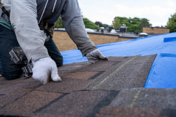 Professional Roofing Contractor in Marshall, AR