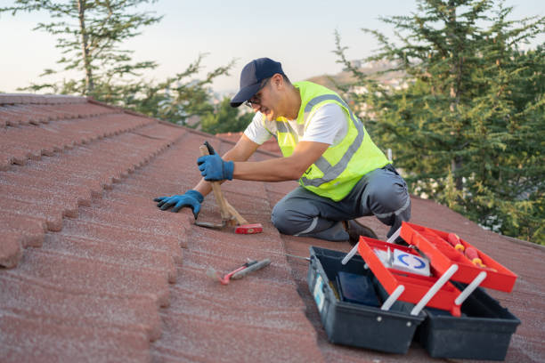 Best Roof Leak Repair  in Mshall, AR