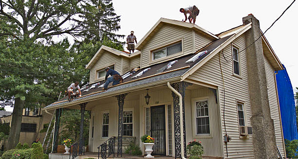 Best Local Roofing Companies  in Mshall, AR